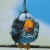 Avatar Img